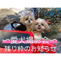 画像1636