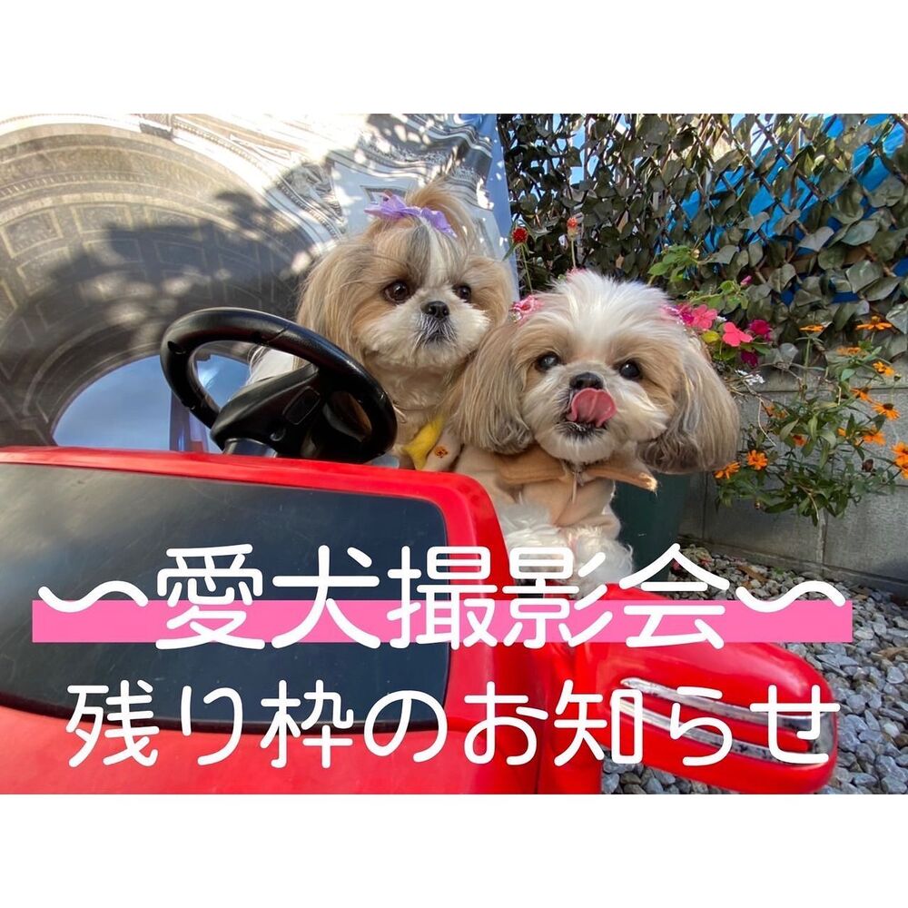 画像1636