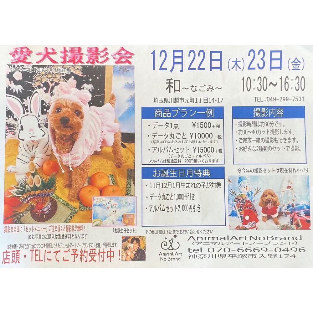 画像1638