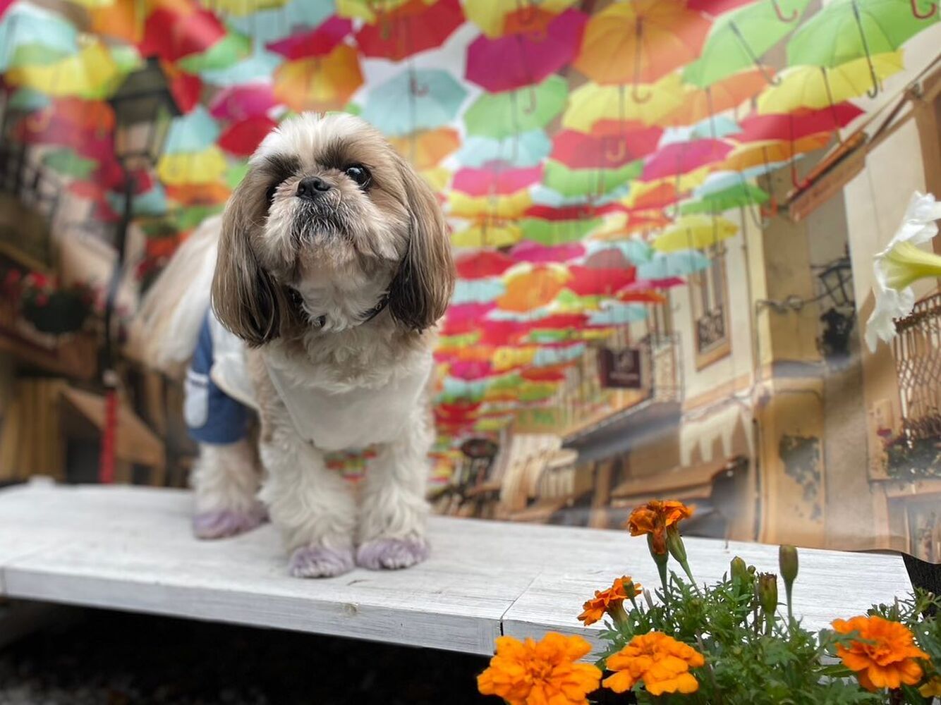 画像16392