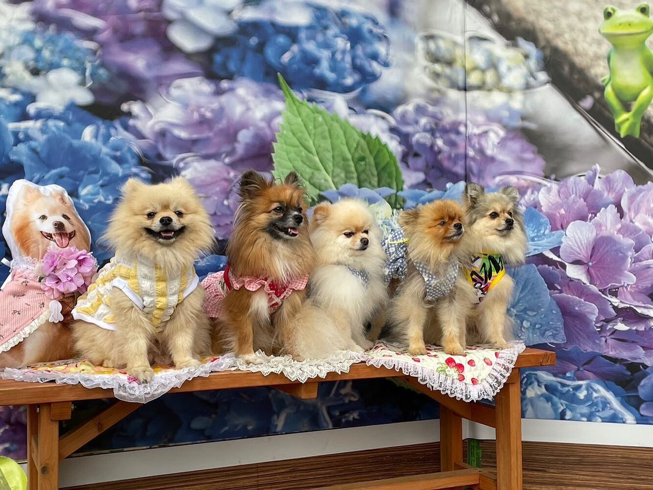 画像16404