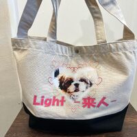 画像16448