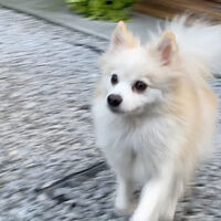画像1646
