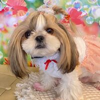 画像16595