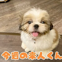 画像16598