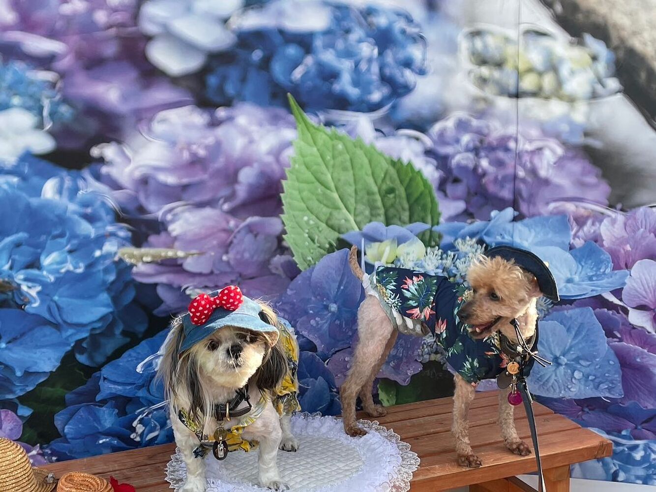 画像16673