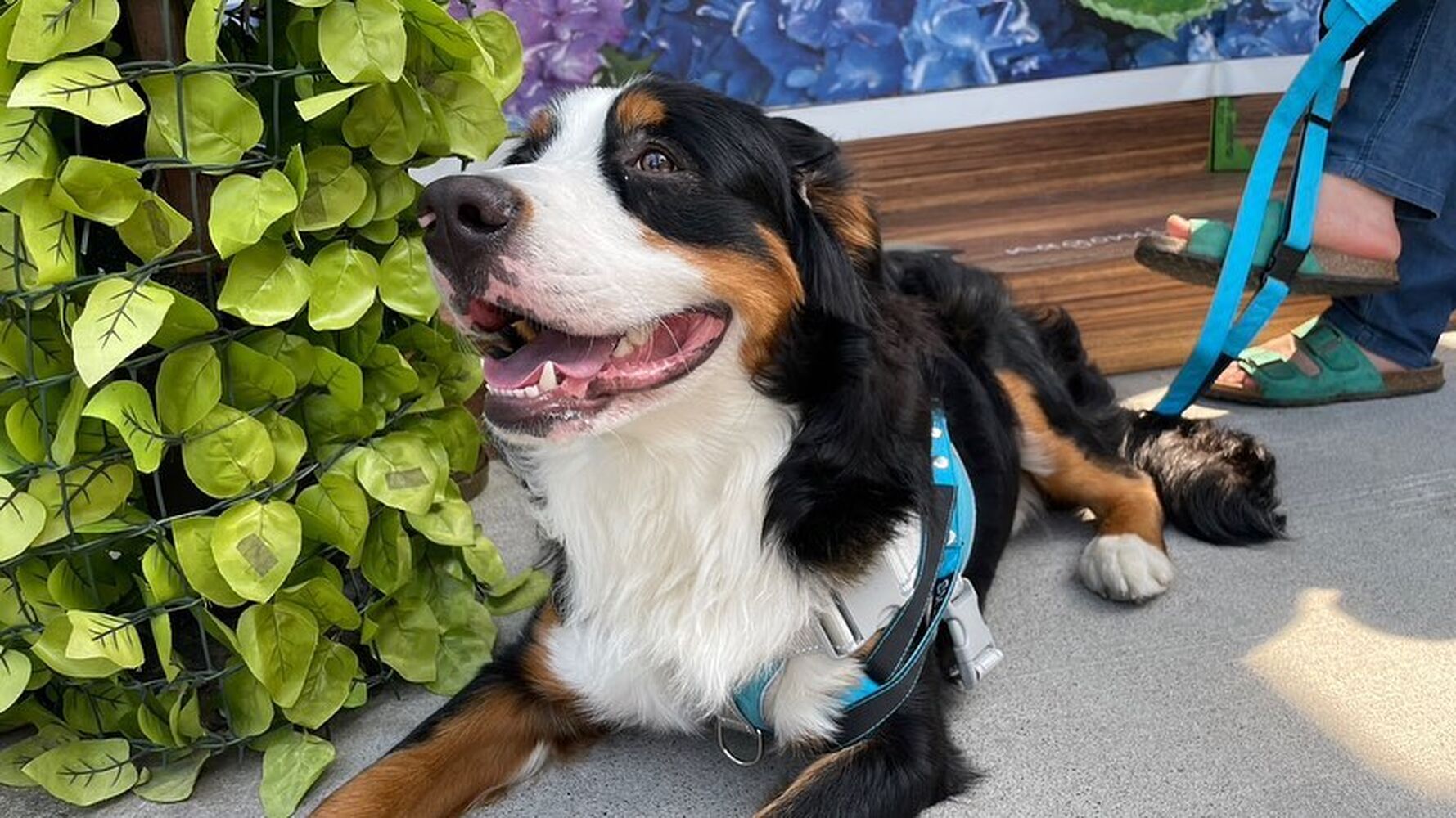 画像16743