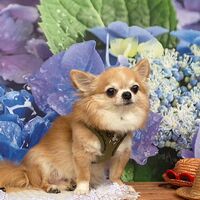 画像16887