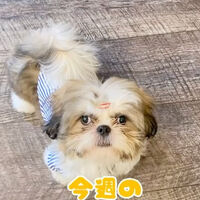 画像17098
