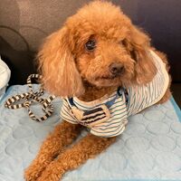 画像17123