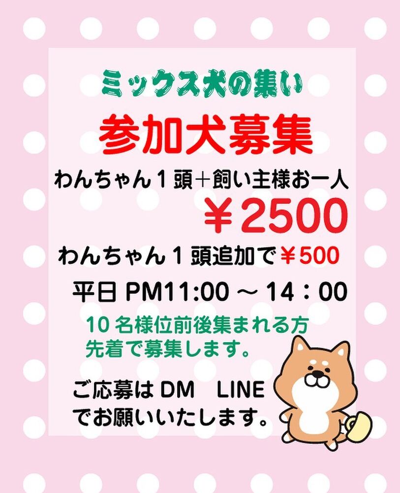 画像17196
