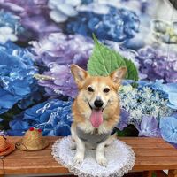 画像17220