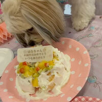 画像17304