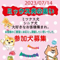 画像17365