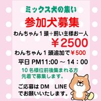 画像17366