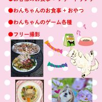 画像17367