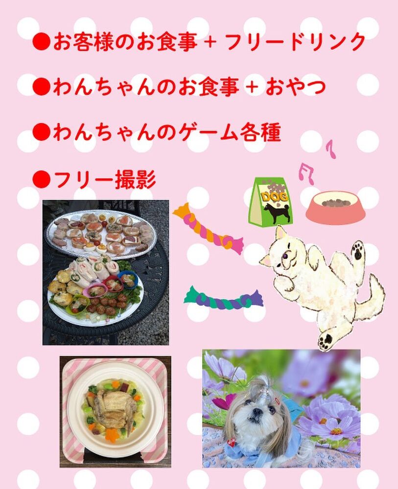 画像17367