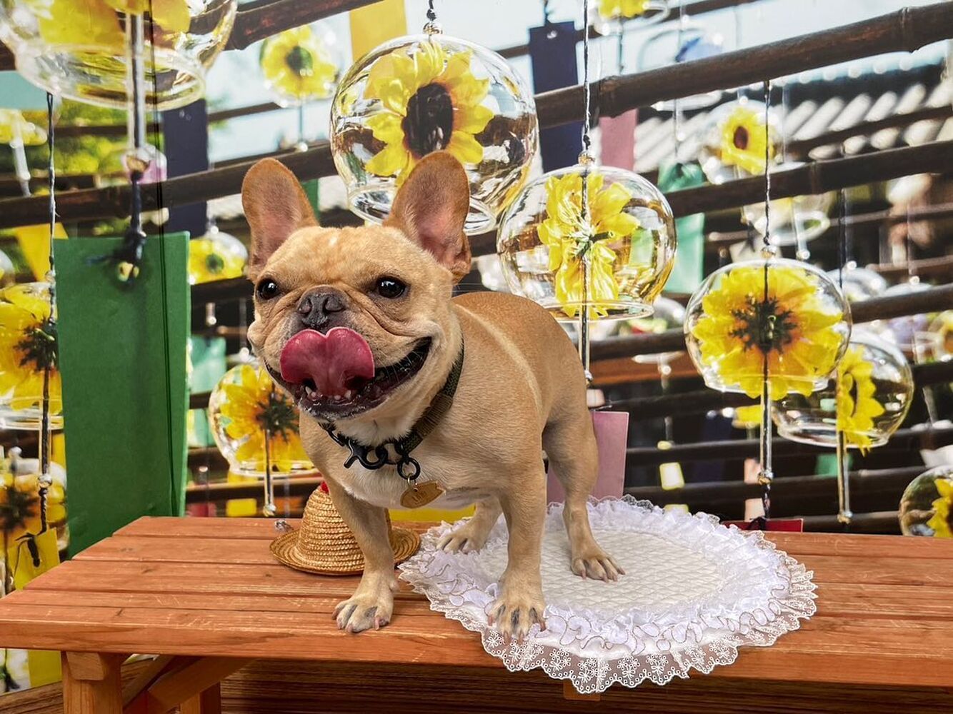 画像17389