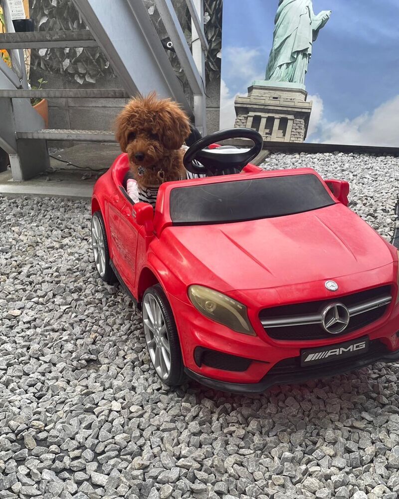 画像17571
