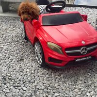 画像17573