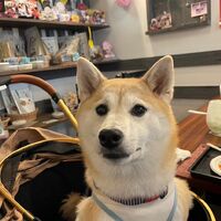 画像17612