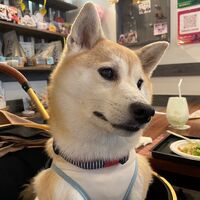 画像17613