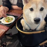 画像17616