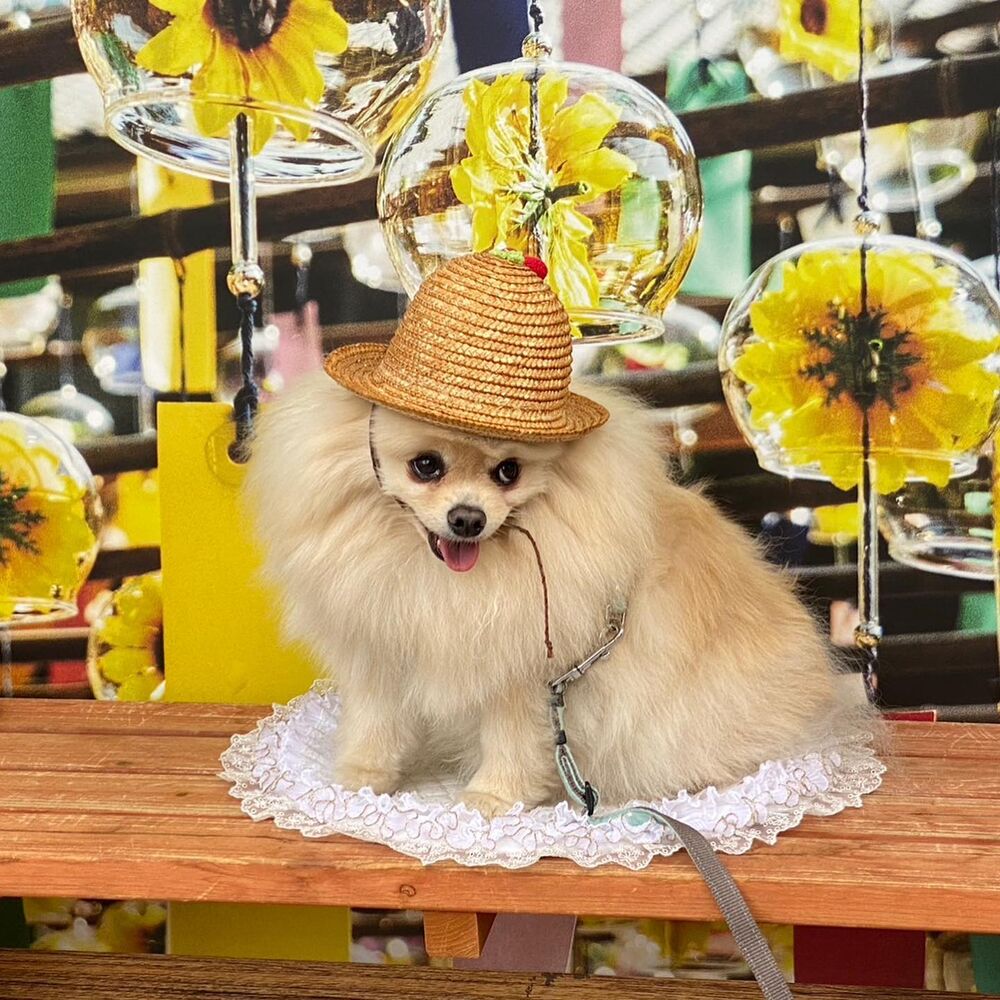 画像17629