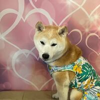 画像17744