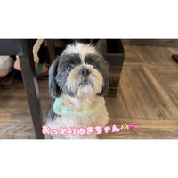 画像17768