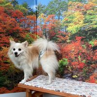 画像1783