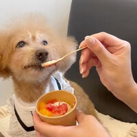 画像17883