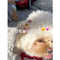 画像17918