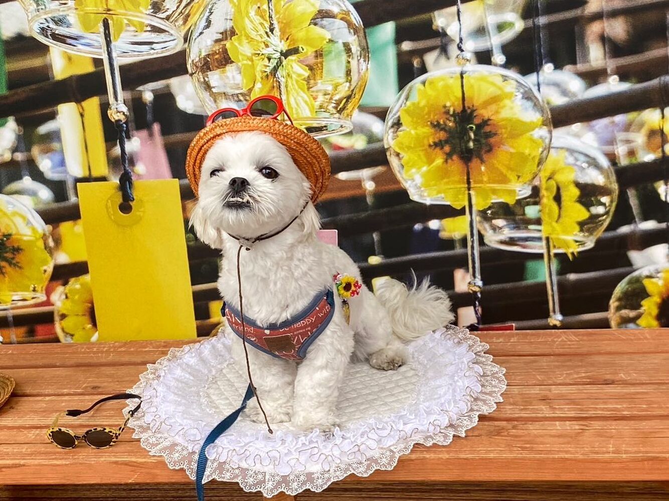 画像17965