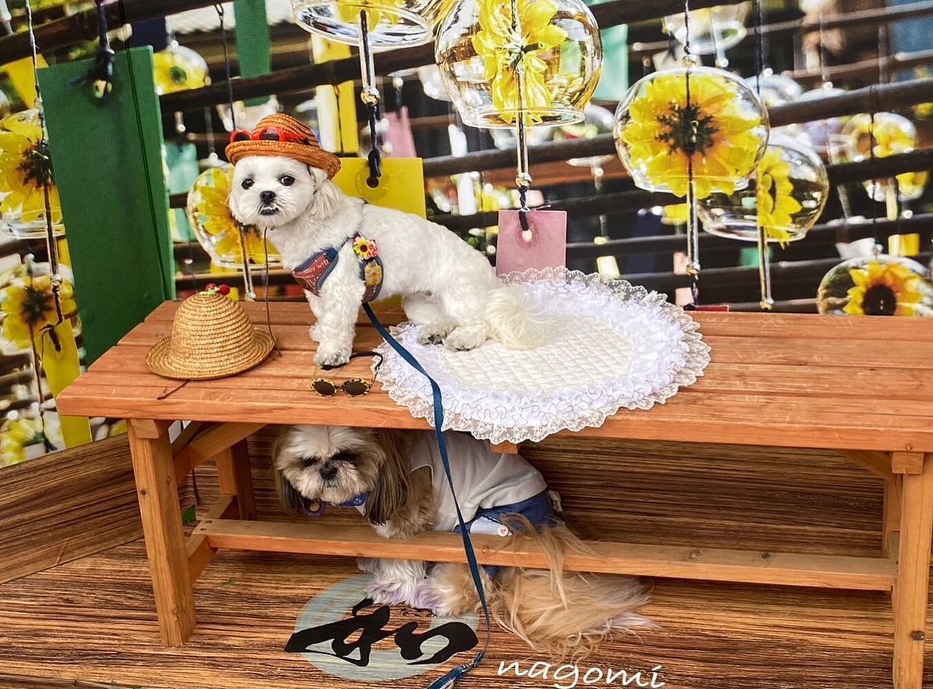 画像17966