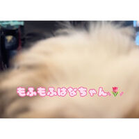 画像17977
