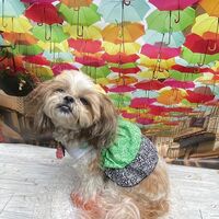 画像18018