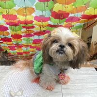 画像18019