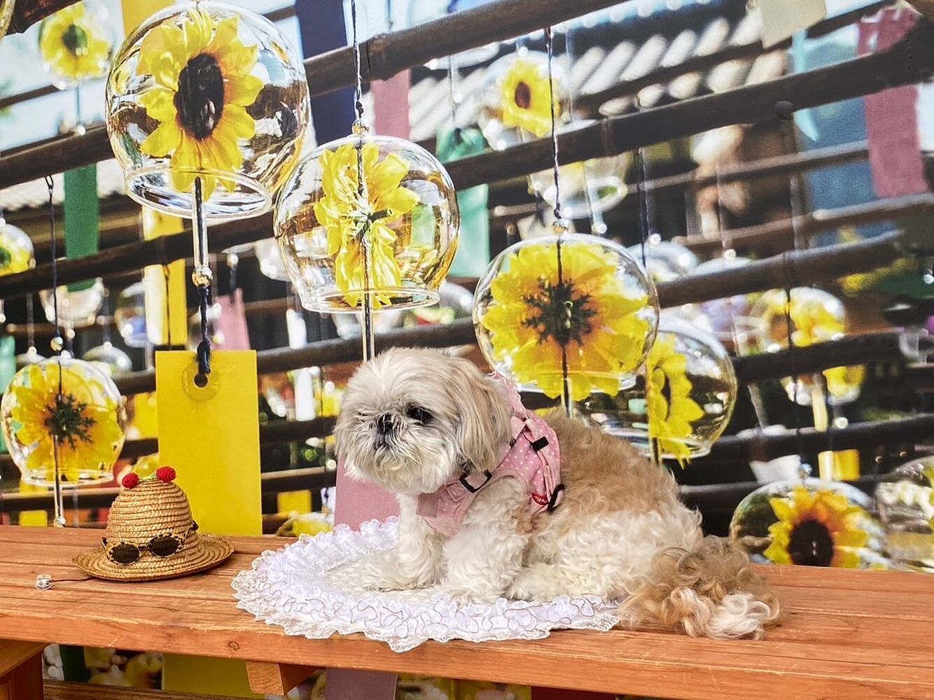 画像18045