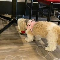 画像18053