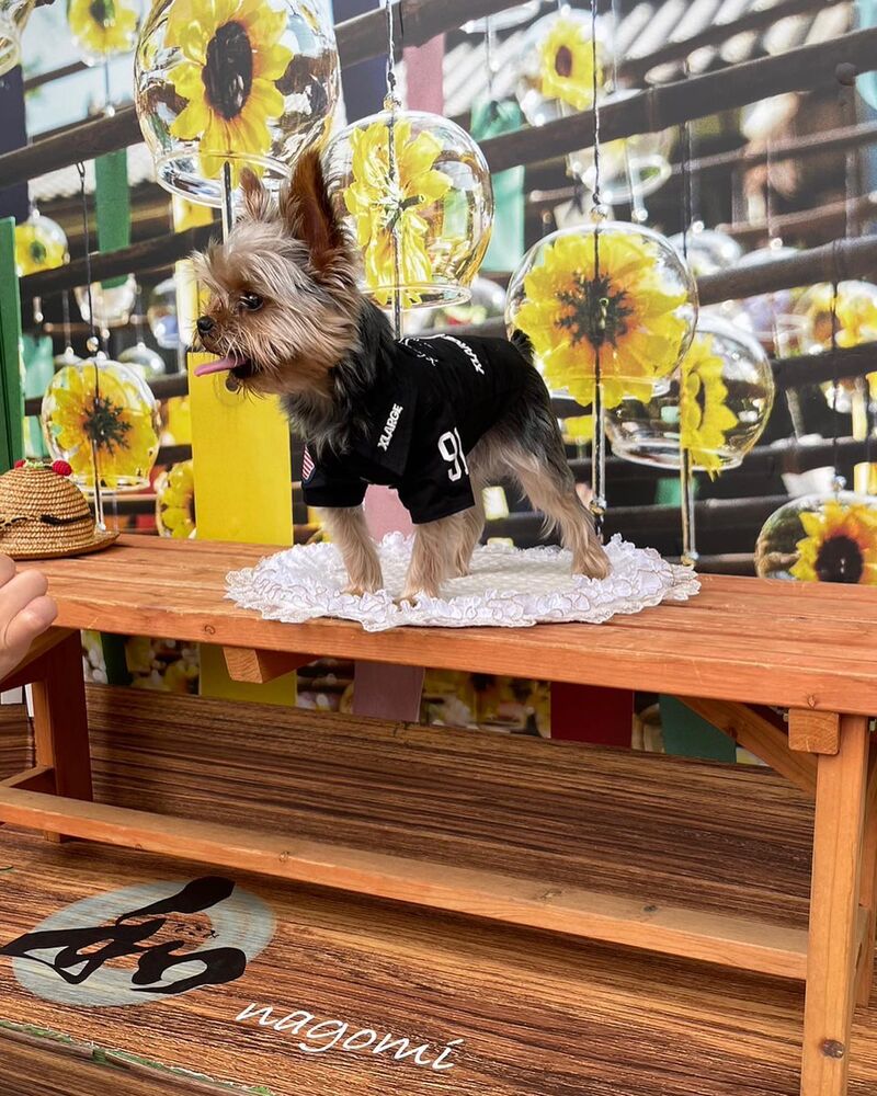 画像18070