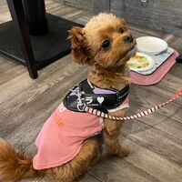 画像18092