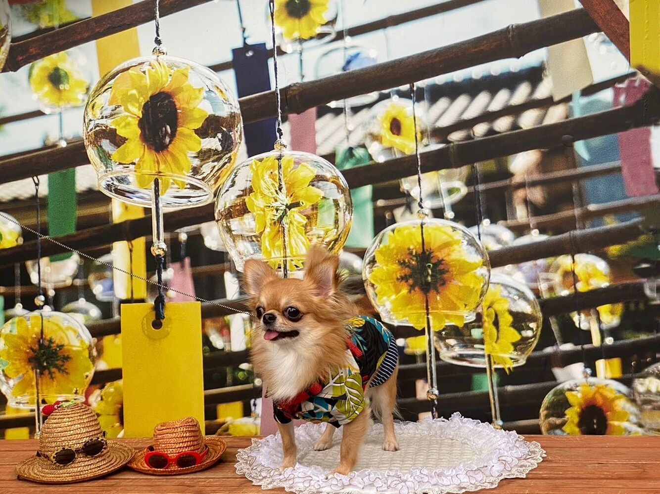 画像18098