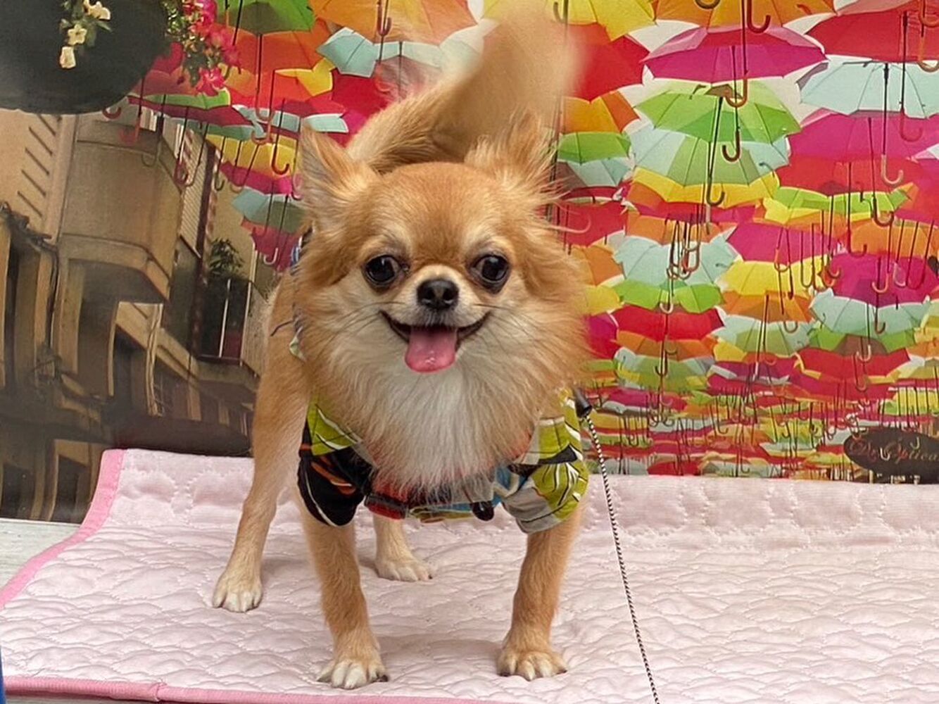 画像18101