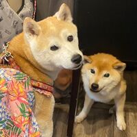 画像18112