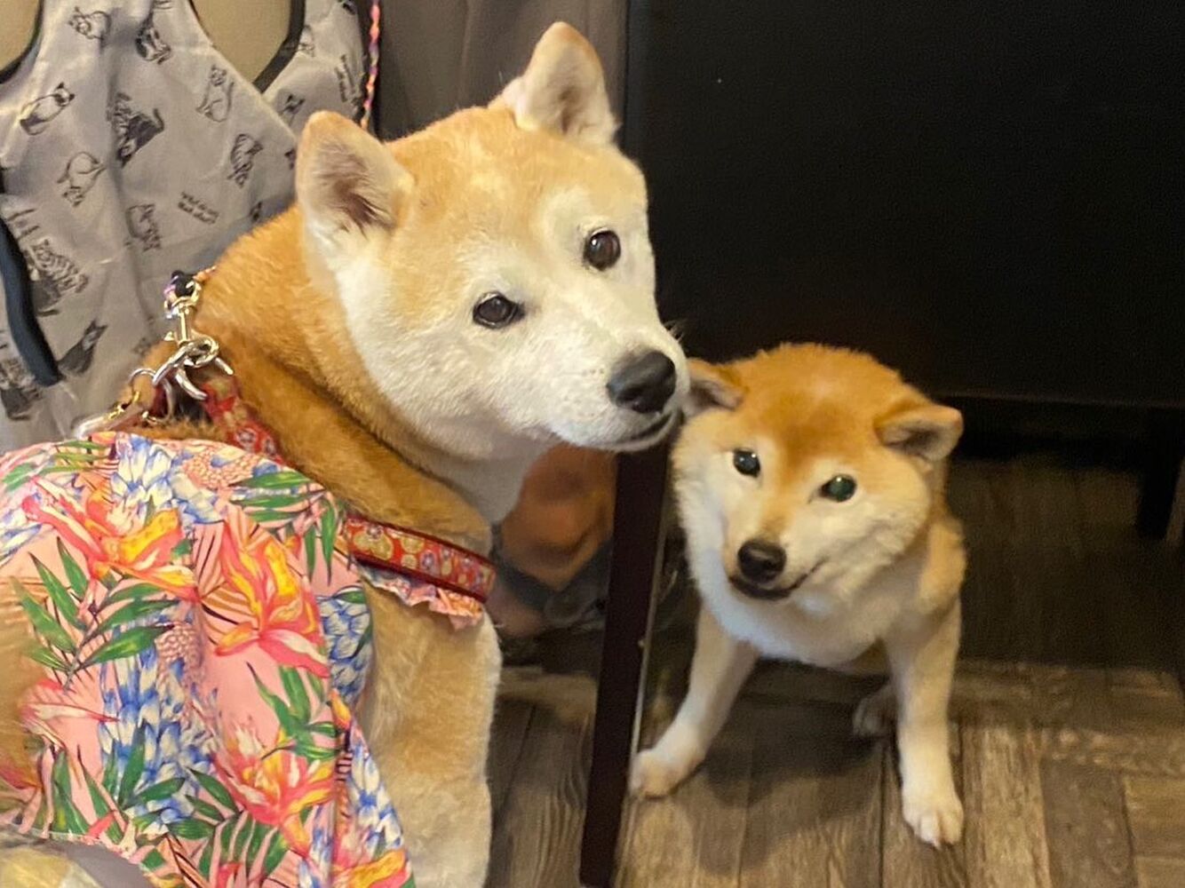 画像18112