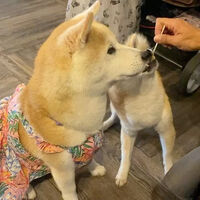 画像18114