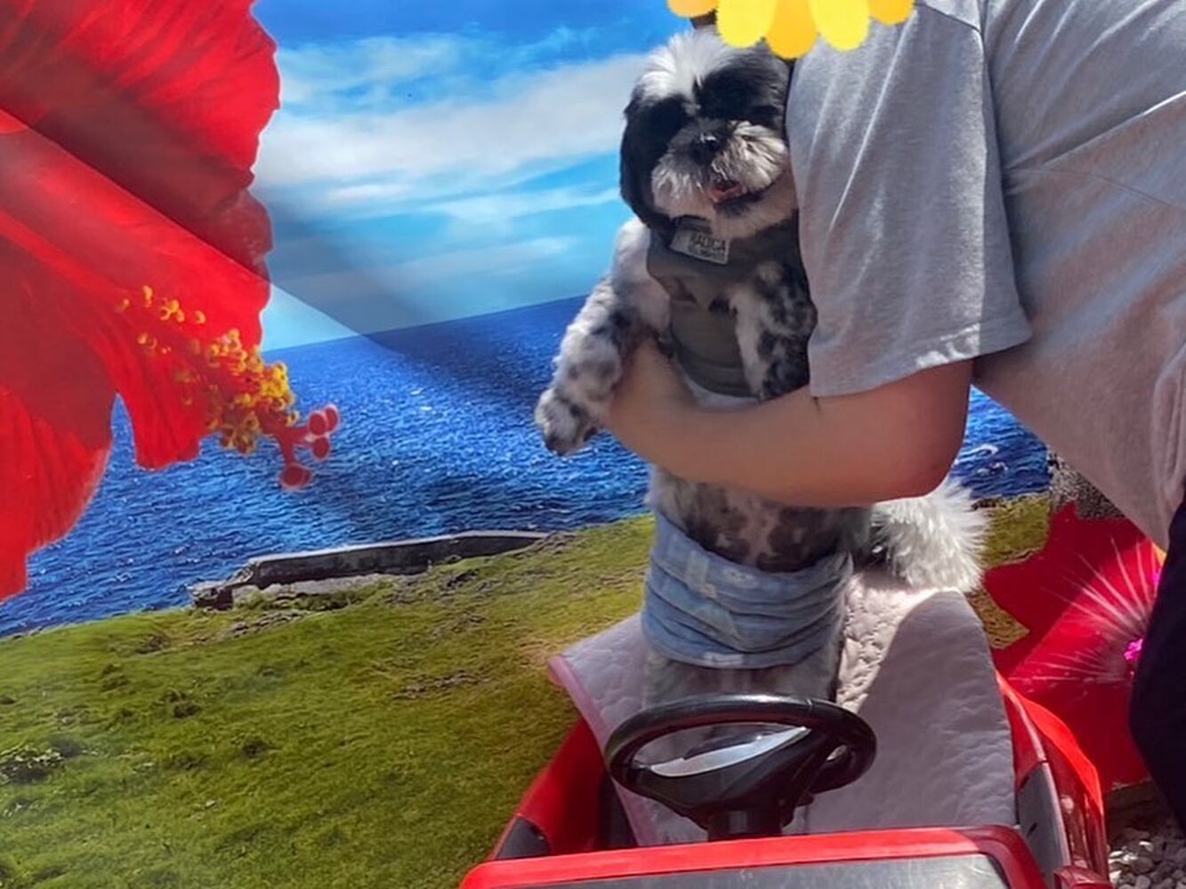 画像18140