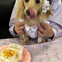 画像18339