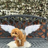 画像18408